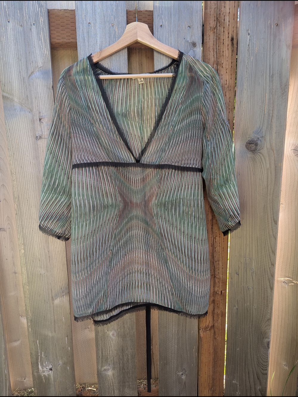 CAbi Green Sheer Y2K V-Neck Tunic